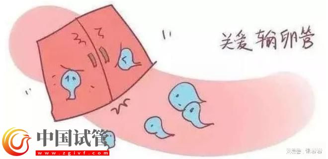 卵巢早衰卵泡不发育怎么办？卵巢早衰可以借卵试管生孩子吗？(图5)