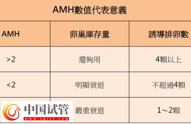 试管取卵泡数量的多少跟患者的amh值有关系吗？(图1)