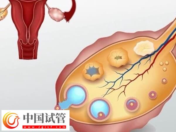 巩义人工助孕机构排行榜揭晓，市妇幼保健院口碑第一(图2)