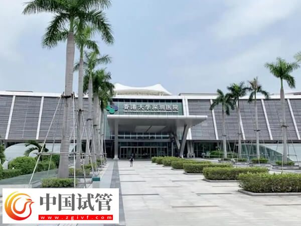 香港大学深圳医院试管婴儿怎么样(图1)