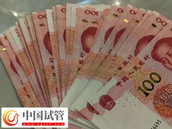 美国试管婴儿最新花销速览，共计预算多少一目了然(图1)