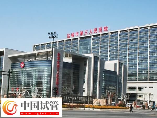 盐城市第三人民医院做试管婴儿生一对双胞胎费用多少？(图1)