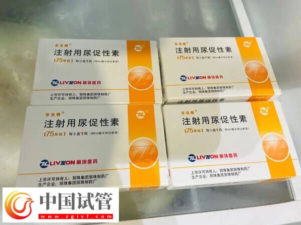 试管婴儿促排期间几个细节别忽视，掌握这5个要点受用整个周期(图1)