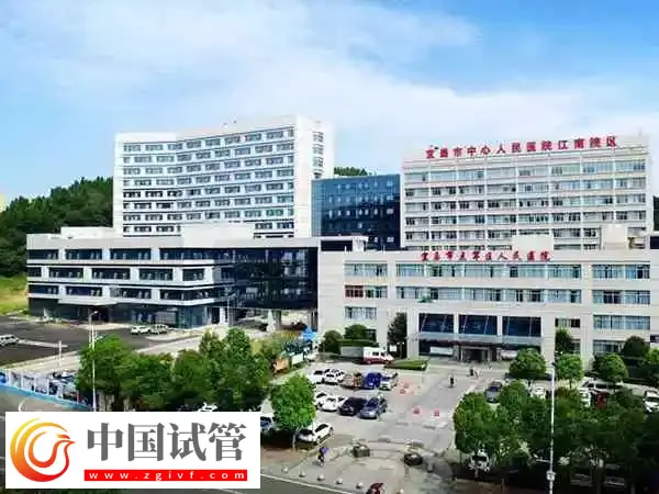 宜昌市中心人民医院试管婴儿生双胞胎多少钱(图1)