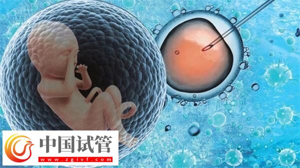 景德镇市妇幼保健院试管费用及成功率一网打尽，汇总全面(图1)