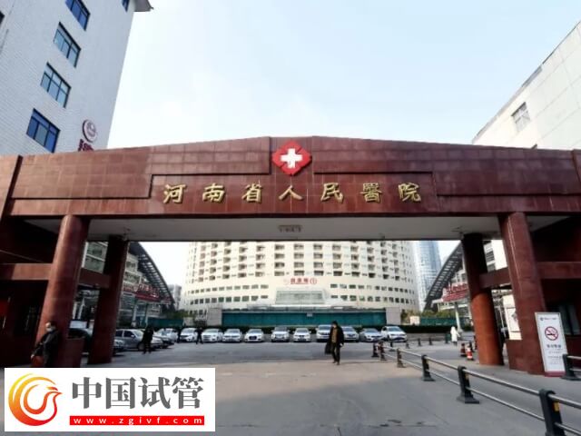 信阳能不能做试管婴儿(图2)