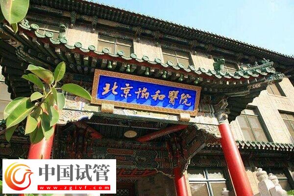 北京哪家试管婴儿机构可靠？本地人：西城区这5家闭眼选(图1)