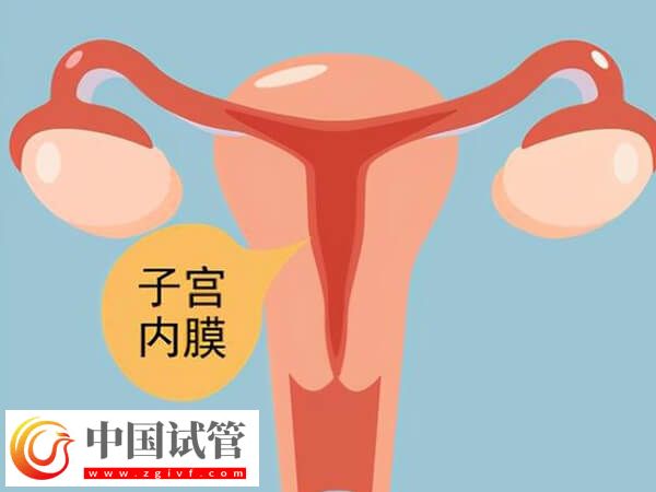 子宫内膜厚度多少做试管婴儿才能成功着床？(图2)