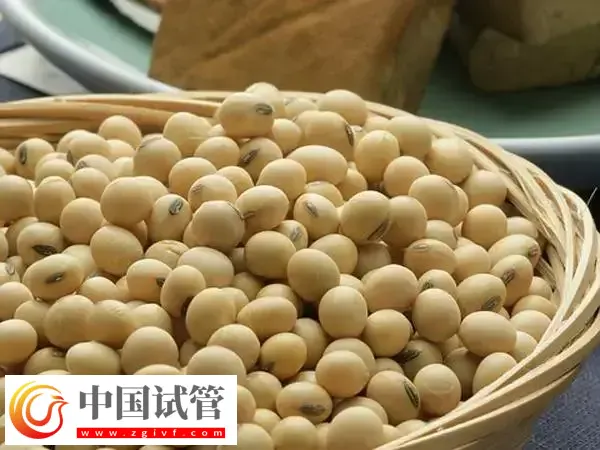 雌性激素多的食物有哪些(图1)