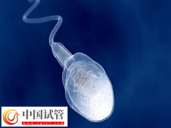 实施供精是否可以选择长相(图1)