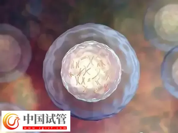 为什么俄罗斯试管成功率那么高(图1)