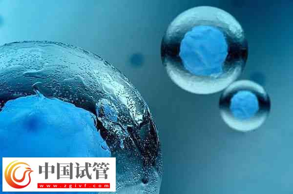 前往泰国做试管移植冻胚和囊胚是否一样(图3)