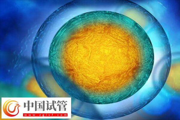 胚胎移植后会不会自己掉下来(图1)