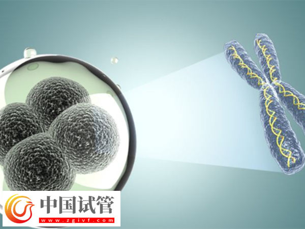 女性内膜13b是否可以移植囊胚胚胎(图1)