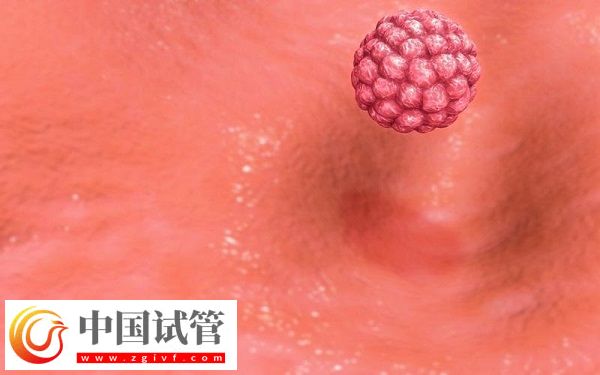 女性内膜13b是否可以移植囊胚胚胎(图2)