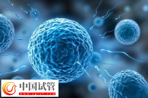 国外试管婴儿技术成不成熟(图2)