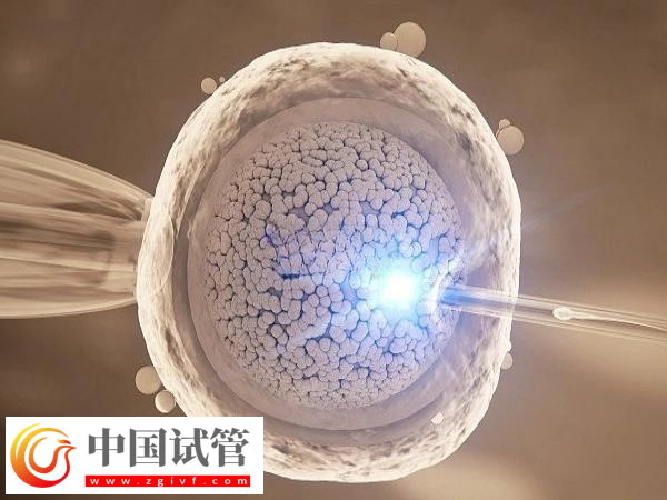 前往北京做试管费用是多少(图1)