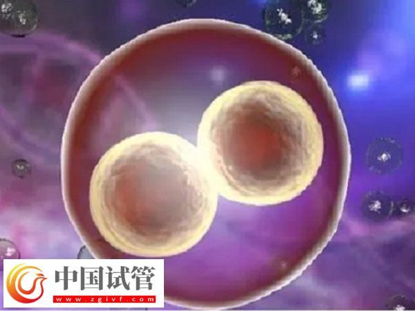浙江温州附二医试管好不好(图2)