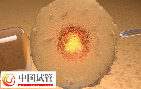 三代试管PGD技术检测是否必须养囊(图2)