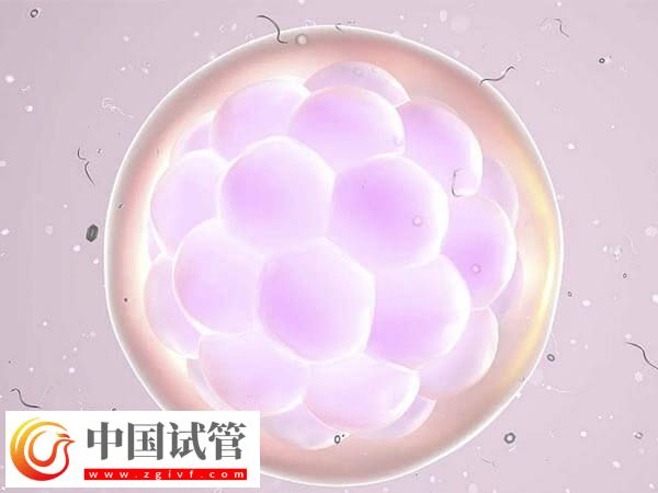 三代试管PGD技术检测是否必须养囊(图1)