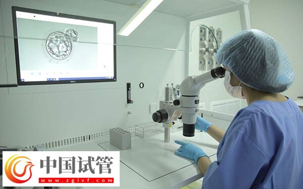 试管婴儿是不是容易引发早产(图1)
