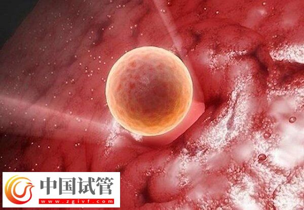 卵巢早衰amh值0.08试管能不能成功(图2)
