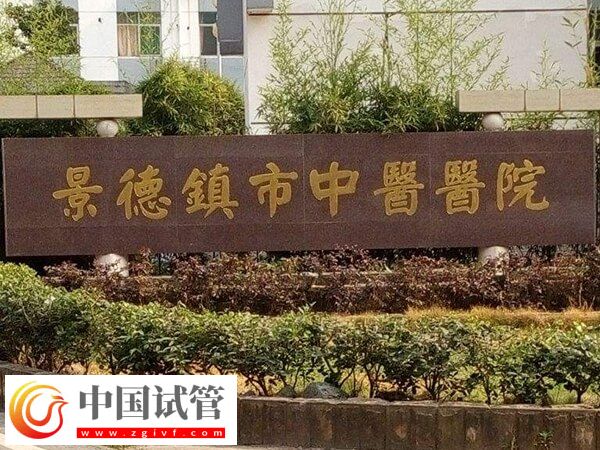 景德镇市中医院做试管婴儿一次胚胎移植的费用是多少？(图1)