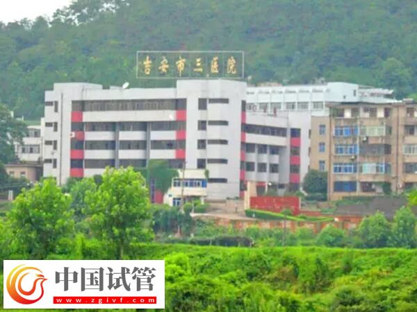 吉安市第三人民医院二代试管穿刺取精的成功率高吗？(图1)