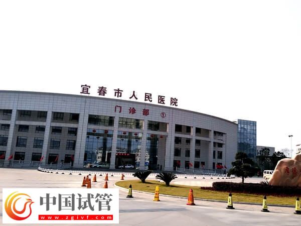 在宜春市人民医院做一代试管婴儿单周期费用多少？(图1)