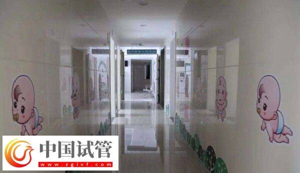 湖州试管婴儿医院成功率排名比较好的有哪些？(图1)