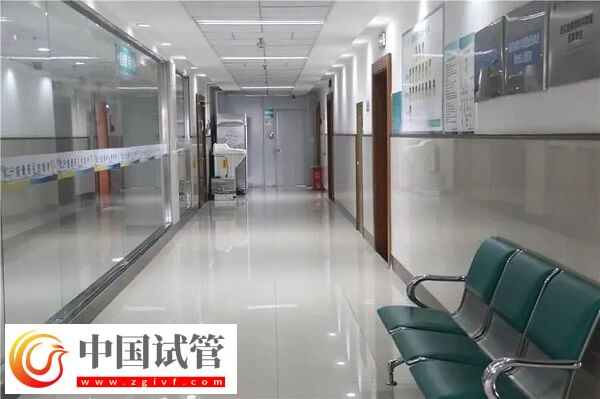 衢州本地医院做一次三代试管婴儿费用大约多少？(图1)