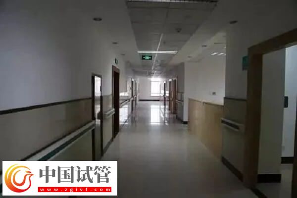 衢州公立试管医院中成功率排名第一的是哪家？(图1)