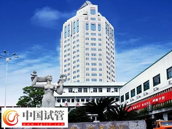 台州正规公立医院做试管婴儿费用能走医保进行报销吗？(图1)