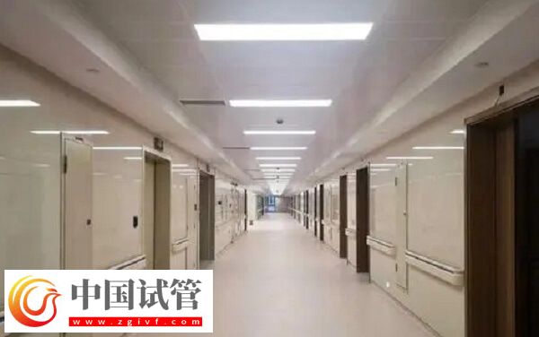 龙岩一院和二院哪个做人工受精好，成功率高？(图1)