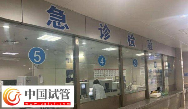 宿州做试管婴儿选煤电总医院和市第一人民医院哪个好？(图1)
