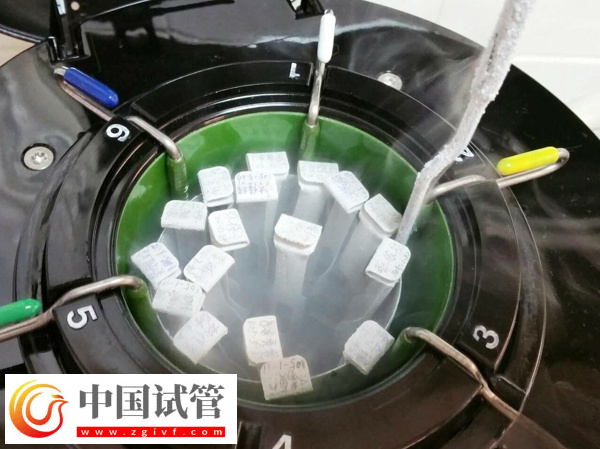 胚胎质量不良会怎么样(图2)