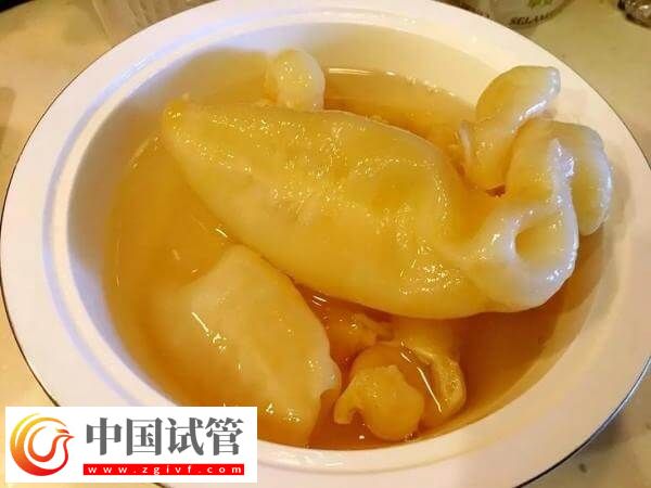 取卵后吃花胶好不好(图1)