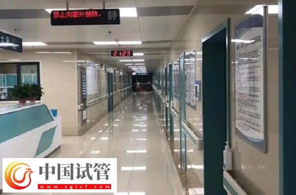 蚌埠哪个医院有精子库可以供精？(图1)
