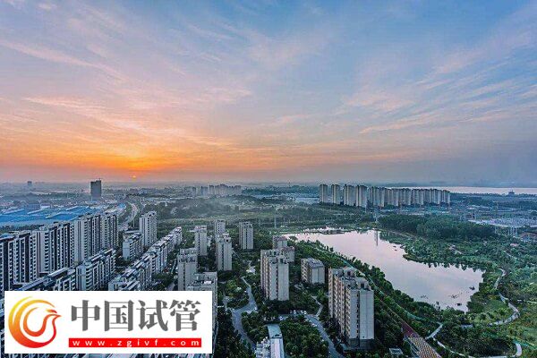 滁州能供卵的机构有哪几家？(图1)
