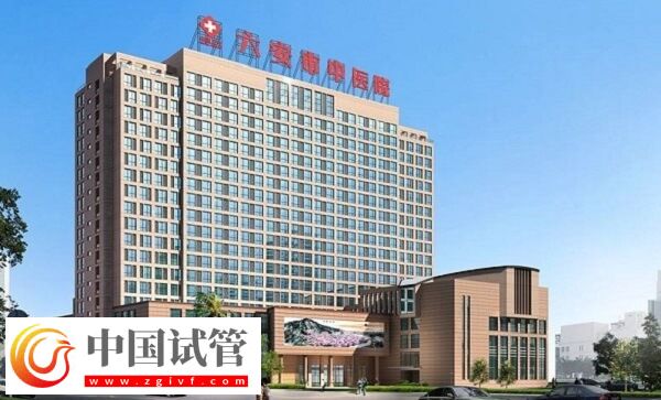六安公立医院做一次供卵试管婴儿要多少钱？(图1)
