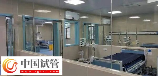 铜陵有没有做供卵试管不用排队的医院？(图1)