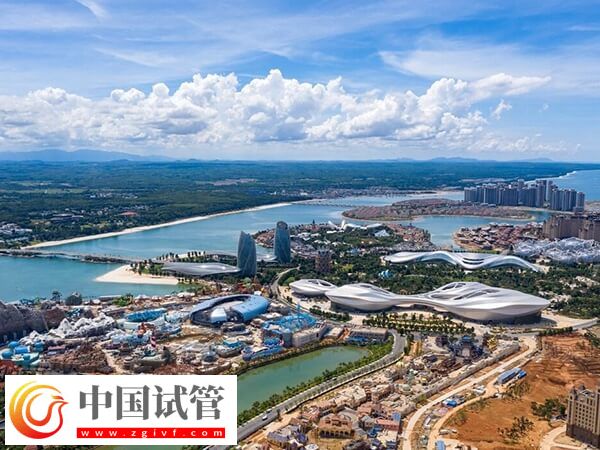 儋州哪家公立医院有试管婴儿助孕技术？(图1)