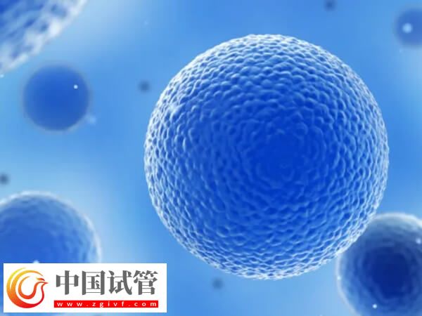 吉林市中心医院试管婴儿单个胚胎移植成功率怎么样？(图1)