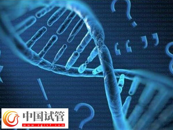 白山有没有能做无创亲子鉴定的医院？(图1)
