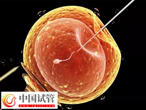 松原能做一代试管的三甲医院是哪家？(图1)