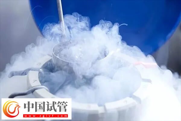 囊胚和冻囊胚是否一样(图2)
