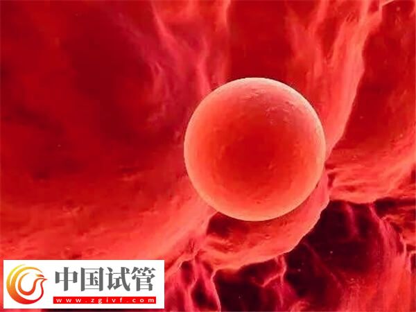 臀位看男女方法确实坑人，当心胎位不正小事变大事(图1)