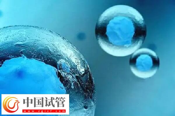 5天囊胚和3天鲜胚有哪些区别(图1)