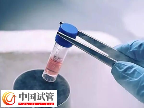养囊成功后冷冻起来会怎么样(图1)