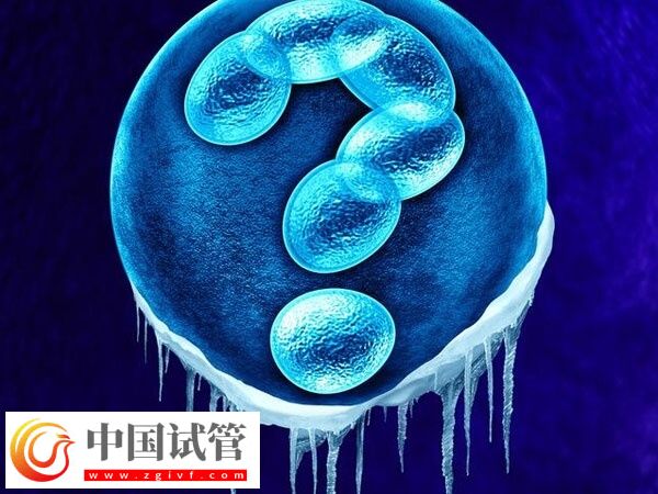 les去哪里做试管(图1)